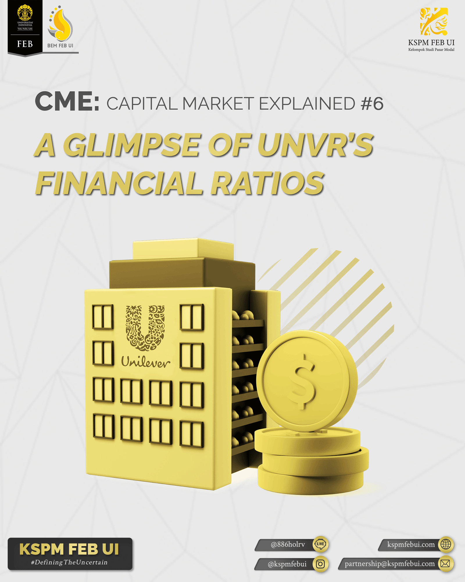 CME #6 : A Glimpse of UNVR’s Financial Ratios